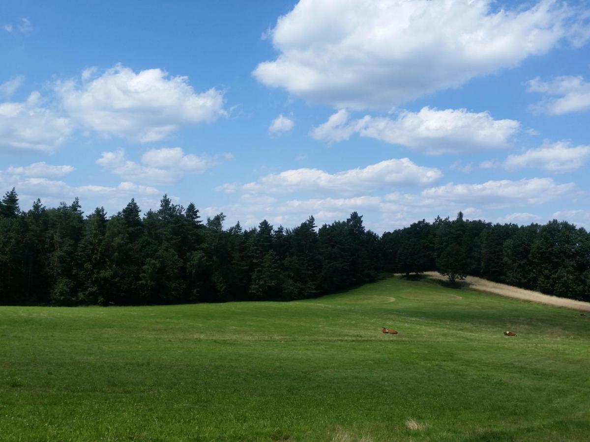 Bialy Domek Appartement Wisła Buitenkant foto